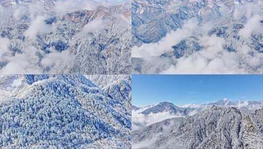 成都西岭雪山冬天高处的云海雾松航拍合集高清在线视频素材下载