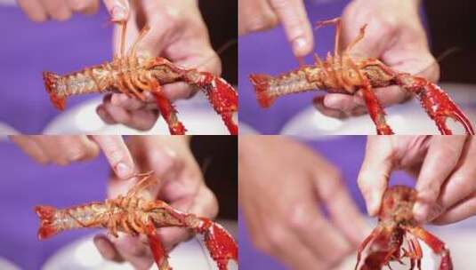 【镜头合集】白腹白肚子小龙虾 (1)高清在线视频素材下载