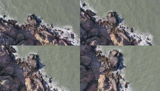 海浪拍打岩石礁石高清在线视频素材下载