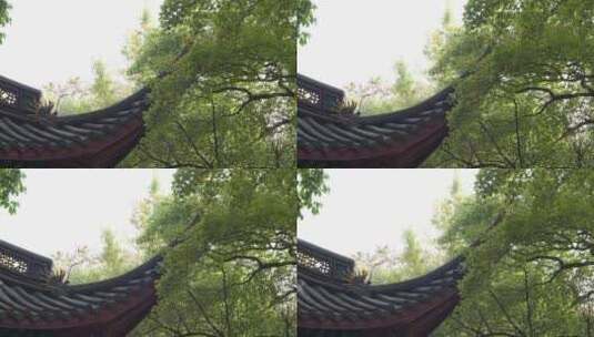 杭州千年古刹灵隐寺建筑视频高清在线视频素材下载