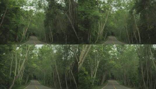 汽车在森林大道行驶高清在线视频素材下载