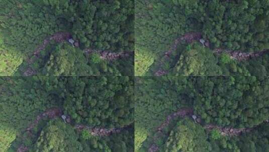 航拍森林溪流高清在线视频素材下载