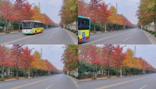 旅游景区，大山深处自然美，治愈系风景高清在线视频素材下载