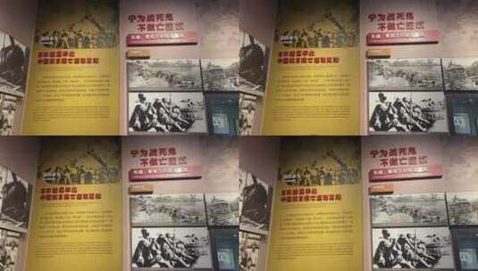 北京永定河卢沟桥狮子高清在线视频素材下载