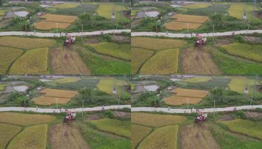 正在收割水稻的农业机械高清在线视频素材下载