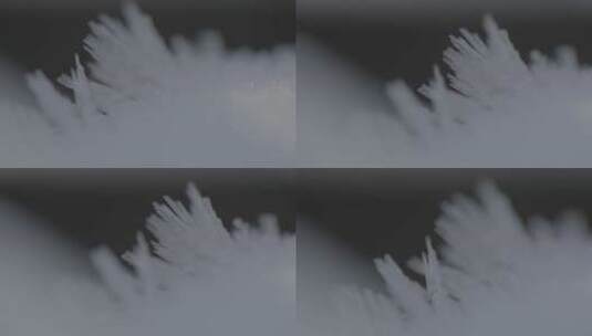 冰雪细节特写冰晶变焦4k50帧灰片高清在线视频素材下载