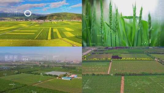 现代农业科技感合集高清在线视频素材下载