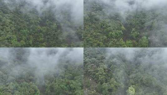 烟雨云雾缥缈的大山高清在线视频素材下载