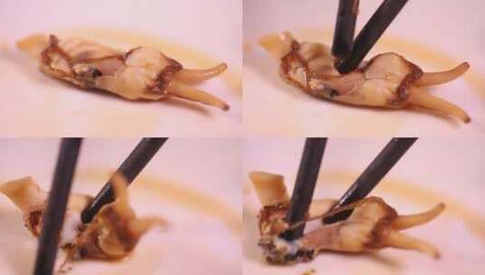 小海鲜花蛤蛏子肉 (10)高清在线视频素材下载