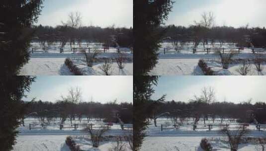雪后的自然景观高清在线视频素材下载