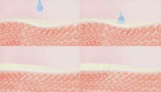 皮肤细胞与吸收的水滴 3D渲染高清在线视频素材下载