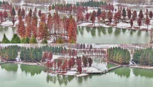 航拍湿地公园雪景树林湖岛木屋鸟类杉树木高清在线视频素材下载