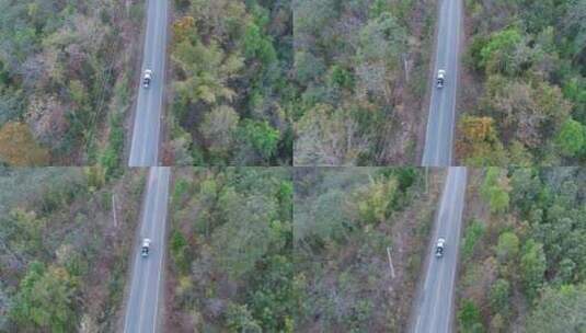 公路车辆树木高清在线视频素材下载