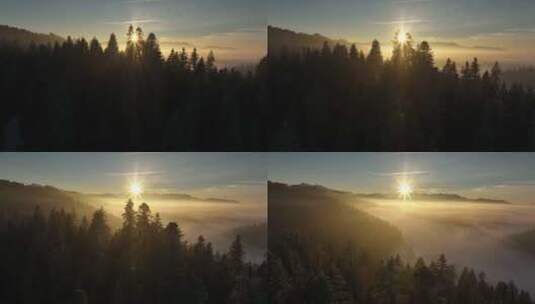 森林 阳光  山脉 日出 薄雾高清在线视频素材下载