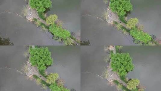 水中绿道航拍高清在线视频素材下载