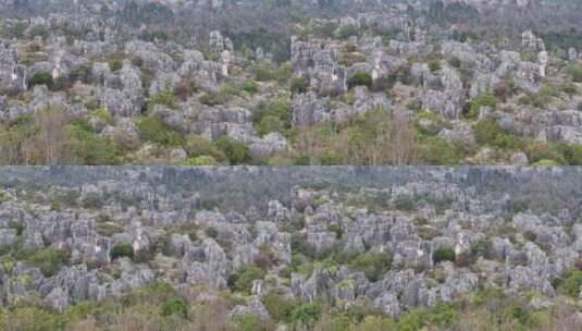 航拍云南景区风景石林风景区蓝天白云春旅游高清在线视频素材下载