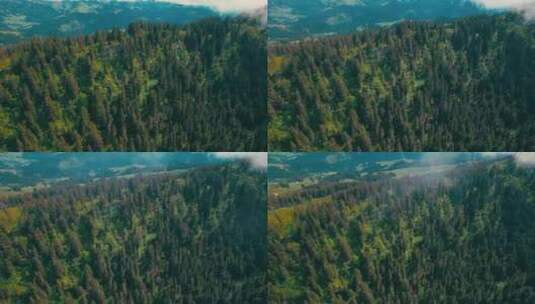 4k风景航拍山顶绿色森林高清在线视频素材下载