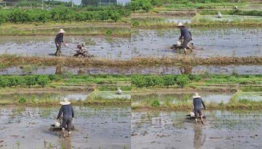 田间劳作的农民高清在线视频素材下载