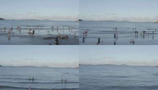 原创log航拍黄昏沙滩上玩耍的人4K-5高清在线视频素材下载