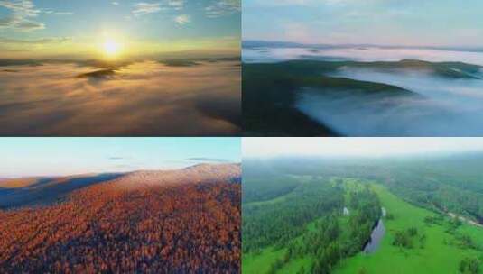 航拍大自然大森林合集高清在线视频素材下载