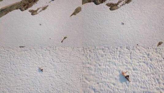 一个赤膊上阵躺在白雪覆盖的地面上的男人高清在线视频素材下载