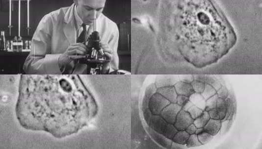 50年代生化生物药品细胞病毒细菌医学实验室高清在线视频素材下载