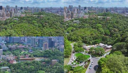 城市中的茂密森林与林立高楼景象高清在线视频素材下载