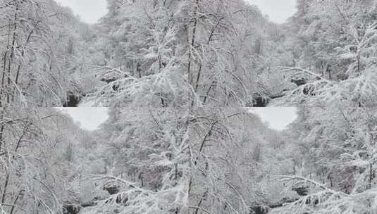 视觉冲击雪后溪水森林高清在线视频素材下载