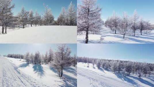 雪后树木银装素裹的美丽景象高清在线视频素材下载