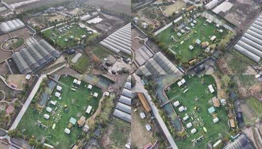 上海青浦花田里露营野餐航拍高清在线视频素材下载