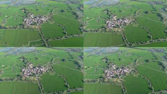 新农村乡村农民田野三农航拍高清在线视频素材下载