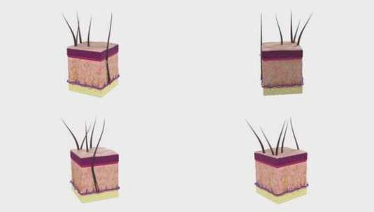 皮肤护理切开层层皮肤立方体能够无限循环高清在线视频素材下载