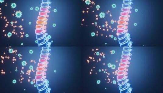 人体脊柱炎症和病毒感染，3d渲染。高清在线视频素材下载