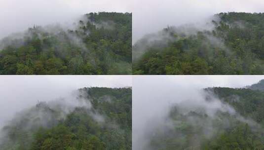 震撼高山云海航拍（福州鼓岭）2高清在线视频素材下载