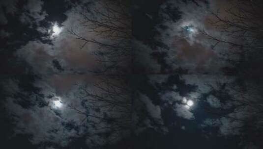 延时拍摄夜晚乌云遮盖的月亮和树影高清在线视频素材下载