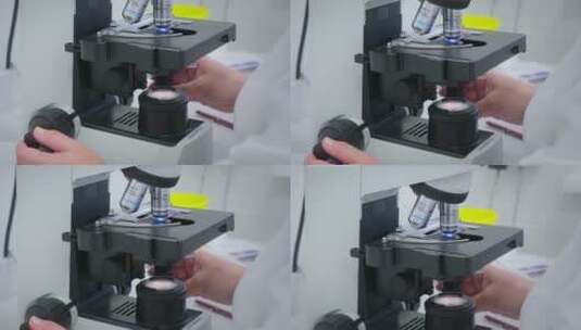 技术员在调整显微镜高清在线视频素材下载