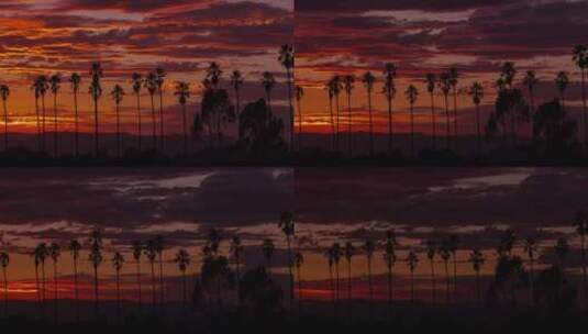 棕榈树上空的晚霞延时拍摄高清在线视频素材下载