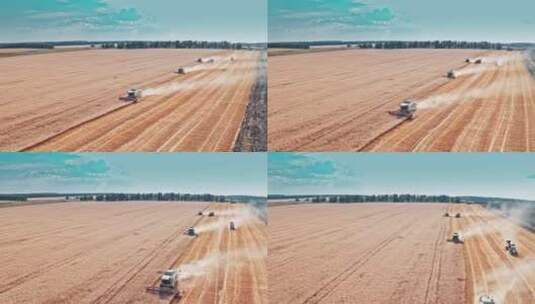 农民收获小麦的航拍高清在线视频素材下载