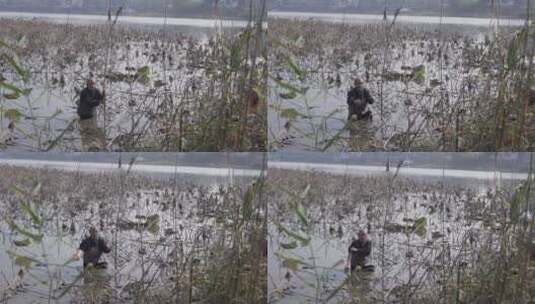 渔民采河蚌LOG视频素材高清在线视频素材下载