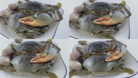 梭子蟹4K实拍视频高清在线视频素材下载
