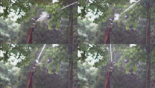 园林灌溉高清在线视频素材下载