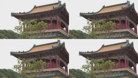 浙江普陀山宝陀禅寺建筑4K实拍视频高清在线视频素材下载