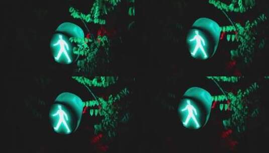 夜晚路口的红绿灯树枝高清在线视频素材下载