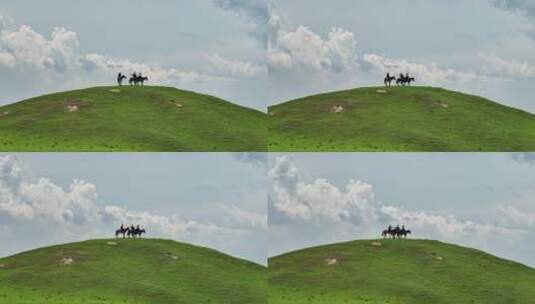 草原上的马高清在线视频素材下载