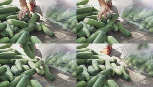 农民妇女把黄瓜装入袋子高清在线视频素材下载