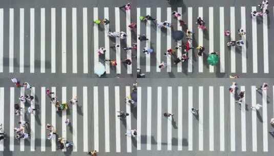 斑马线 行人过马路高清在线视频素材下载