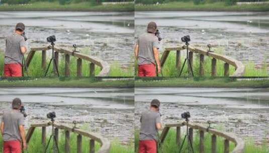 在河边水域正在拍摄鸟类活动的摄影摄像师高清在线视频素材下载