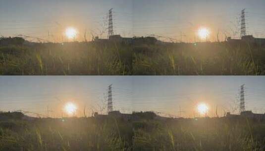 温暖的夕阳下,随风摇摆的小草,远处的高塔高清在线视频素材下载
