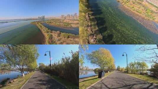 【fpv】穿越湿地公园高清在线视频素材下载