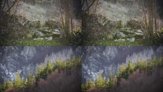 春季森林阳光植物山脉高清在线视频素材下载